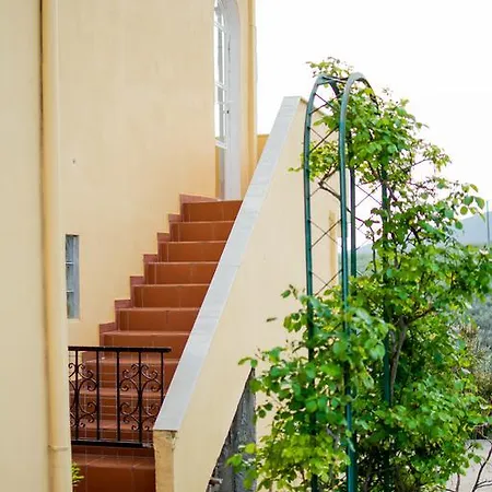 Big Summer House Halkidiki