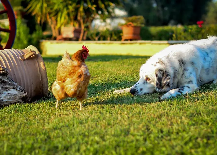 Casa vacanze Big Summer House Halkidiki *