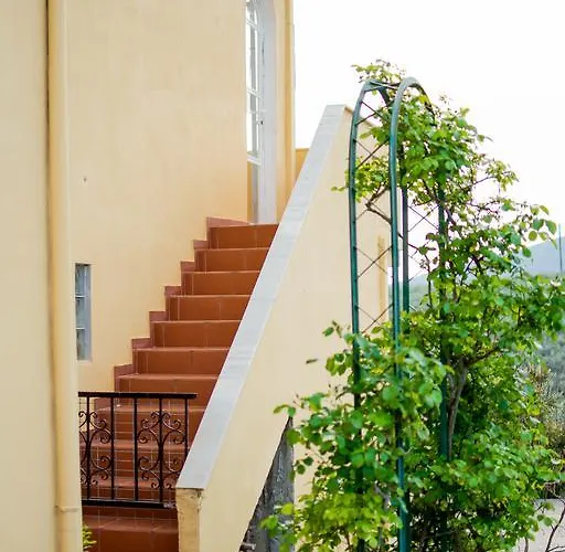 Big Summer House Halkidiki